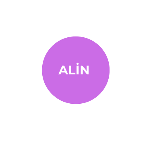 ALIN GLOBAL
